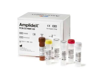 AmplideX® mPCR FMR1