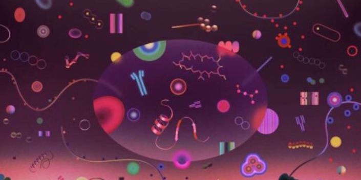 Biomarker discovery to clinical utility