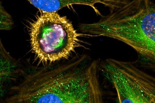 High-Content Screening Instruments