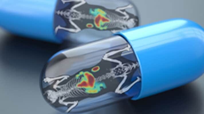 In vivo Imaging Systems