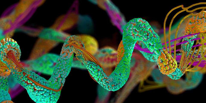 Proteomics in drug development