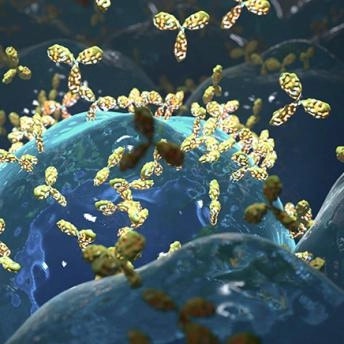 Autoimmunity Powered by Euroimmun