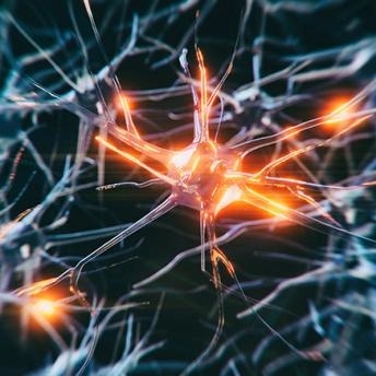 Neurodegeneration Powered by Euroimmun