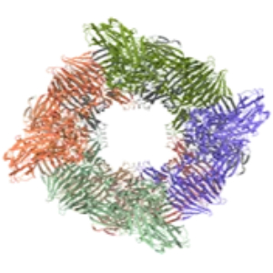 Ultra-stable gold supports for cryo-electron microscopy